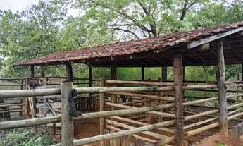 Imagem 7: Fazenda 23 hectares Juramento MG