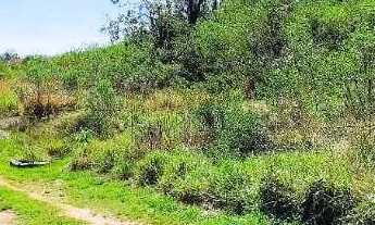 Imagem: Encantadora Chácara de 3 Hectares com Conforto