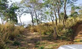 Imagem 2: Excelente chácara a Venda com 30.000M2, no seguimento da Avenida Souzânia Jaiaraa