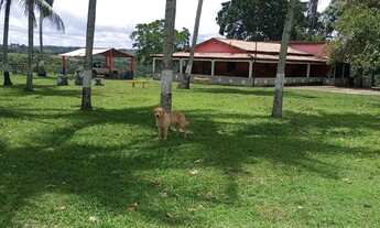 Imagem 7: Fazenda à Venda em Itabela