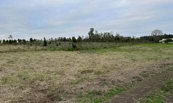 Imagem 3: Excelente Propriedade c/ 100.620,11 m² de Área em Triunfo/RS REF: G5025