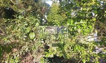 Imagem 6: Campo Grande Terreno / lote com venda por R$3.500.000