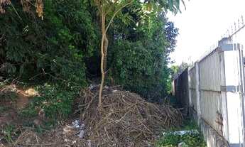 Imagem 2: Lotes a venda com escritura - aproveitem a oportunidade