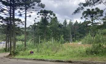 Imagem: Terreno - Bairro Dutra