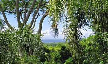 Imagem 7: Casa, à venda, 5 dormitórios, 326 m2 de área construída, 85.000 m2 de terreno, por R$ 5.90