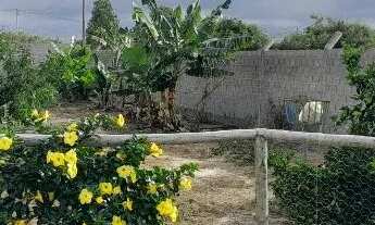 Imagem 7: Sítio a Venda em Morro do Chapéu - BA (Chapada Diamantina