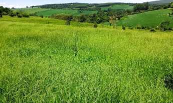 Imagem 6: Vende-se: Sitio em Tatuí/Itape; de 139.000M²