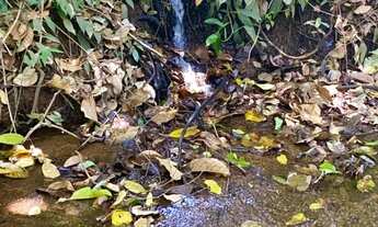 Imagem 3: Chácara de 27.500 m² em Bela Vista de Goiás