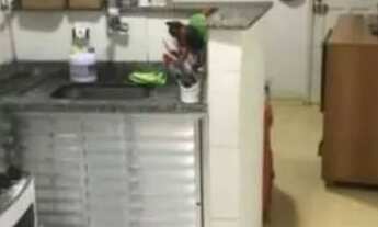 Imagem 4: Apartamento quarto e sala, cozinha banheiro e uma vaga coberta