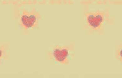 Imagem: Aluguel de casa em São Caetano