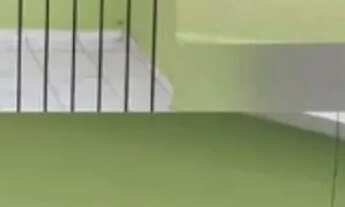 Imagem: Asa térrea para venda com 2 quartos em