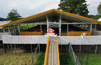 Imagem 11: Fazenda em Iranduba medindo 1.800 x 1.000= 1.800.000m² na várzea