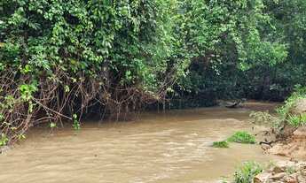 Imagem 2: Fazenda com 64 Alqueires (309,76 hectares) Região Orizona/Luziânia GO Riquíssima em Água