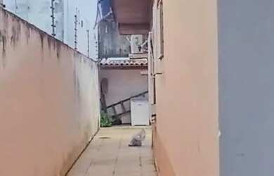 Imagem 3: Casa Conjunto Dom Pedro