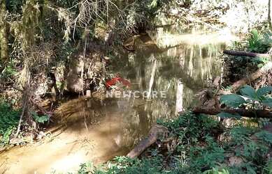 Imagem 5: Chácara em Estrada Conceição dos Correias - Morro Da Palha - Campo Magro/PR