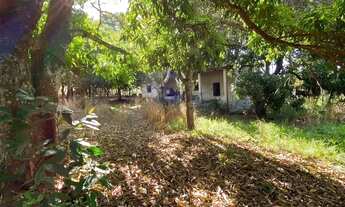 Imagem 7: Chácara a venda / 5.000,000 M2 / Arvores Frutíferas / Córrego / Aparecida de Goiânia