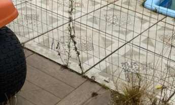 Imagem 5: Sítio em eldorado do Sul