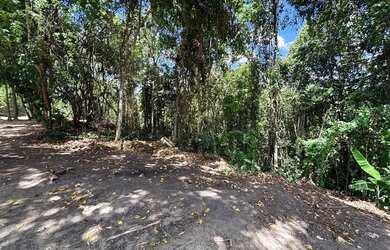 Imagem 3: ALUGA-SE CHACARA PARA FINS COMERCIAIS: CLINICA E OUTROS