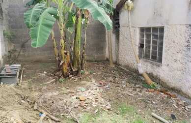 Imagem 4: Terreno para alugar Proximo ao portao 3 da usp São Paulo