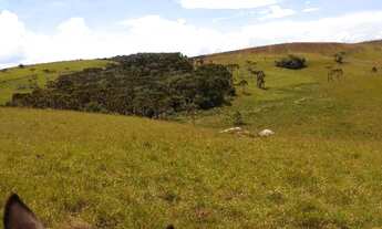 Imagem 2: Ótima fazenda para criação de gado
