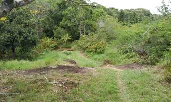 Imagem 5: Faz.25 hectares ilhéus