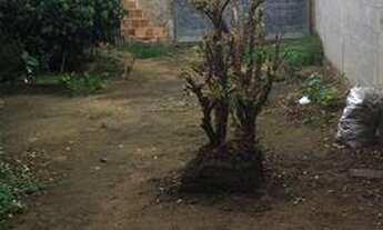 Imagem 3: Aluga -se ou vende - se bairro palmeiras Serra