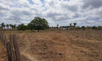 Imagem 3: Fazenda em União-PI