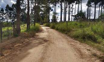 Imagem 2: Chácara Campo Magro 25.000m2