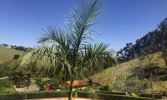 Imagem 4: Sítio para Venda em Centro Pinhalzinho-SP