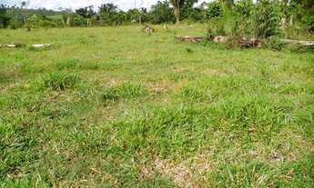 Imagem 3: Vende-se Sitio-Fazenda em Itaituba - comunidade Monte Moriáh