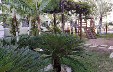 Imagem 3: Viz cidade 2000 Costa Atlântica 1 quarto liga 9 8 7 4 8 3 1 0 8 Diego9989f