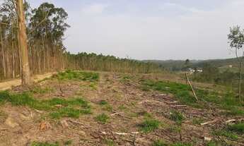 Imagem 2: Sitio 4 alqueires Pilar do sul sp