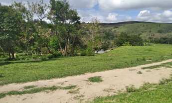 Imagem 2: Lote com 1000M a venda direto com o proprietário