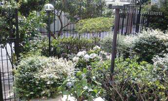 Imagem 3: Apartamento em São Paulo bairro Vila Santa Catarina