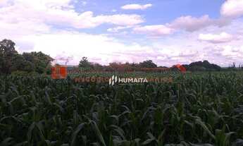 Imagem 4: Chácara com 1 dormitório à venda, 20166 m² por R$ 2.200.000,00 - Gleba Ribeirão Cafezal