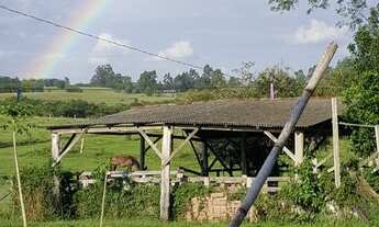Imagem 7: Chácara com 7 hectares em Glórinha