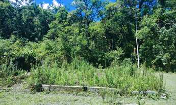 Imagem 3: Fazenda/Sítio/Chácara para venda com 20000 metros quadrados em Taiaçupeba - Mogi das Cruze