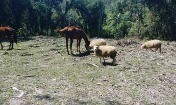 Imagem 5: Fazenda/Sítio/Chácara para venda com 20000 metros quadrados em Taiaçupeba - Mogi das Cruze
