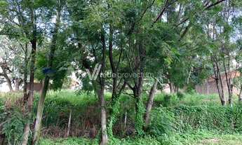 Imagem 3: Campinas - Terreno Padrao - Bairro das Palmeiras
