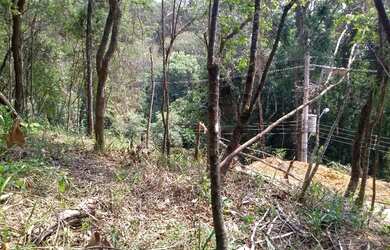 Imagem 2: Terreno 1250 m² excelente localização aclive leve terraplanagem poucas árvores