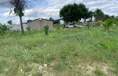 Imagem 6: Vende-Se CASA Com 1 TAREFA de TERRA, Com Energia, Cisterna boa, 70 Pés de Frutas,Cercada