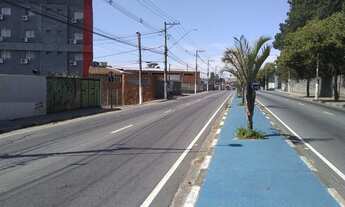 Imagem 7: Terreno para locação, Vila Amorim, Suzano