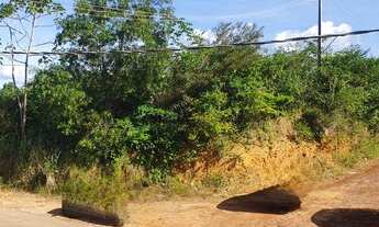 Imagem 2: TERRENO DISTRITO INDUSTRIAL