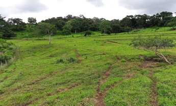 Imagem 3: Terezópolis de Goiás - Chácara
