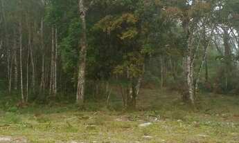 Imagem 4: Terreno 1000 metros Piedade sp