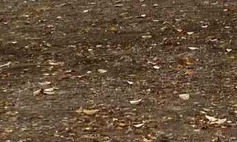 Imagem 2: Área Comercial Rua Olinda Ellis Centro Campo Grande