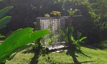 Imagem 5: Fazenda com 68 hectares, há 1km da BR 030 , composta por cacau, pasto, mata e muita água