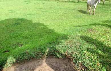 Imagem 6: TB- Vendo Terreno para lazer e tranquilidade