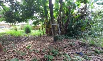 Imagem 6: VENDO CADA NO CURUCAMBA