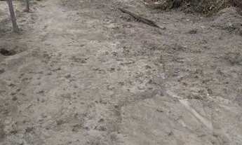 Imagem 3: Excelente Terreno